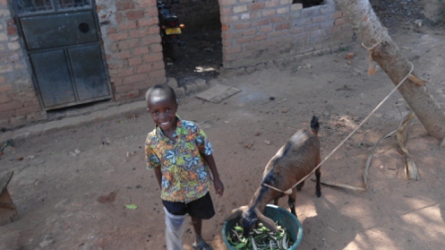 Volunteer your Social Sciences skills in Uganda to support Good Health and Well-being