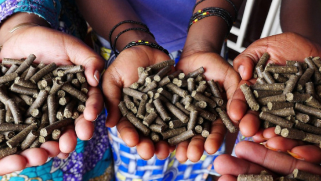 Volunteer your Finance skills in Rwanda to support No Poverty