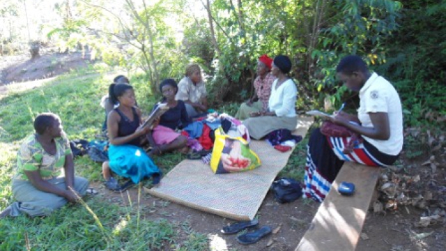 Volunteer your Agriculture skills in Uganda to support Economic Development