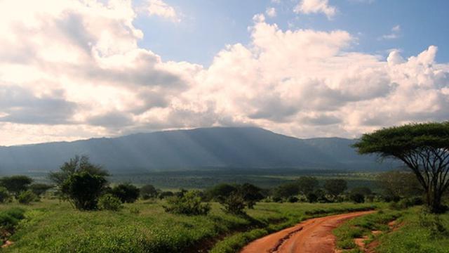 Volunteer your Brand Design skills in Kenya to support Economic Development