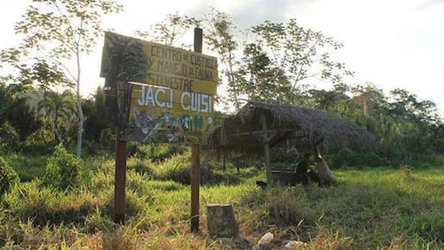 Volunteer your Conservation skills in Bolivia to support Economic Development