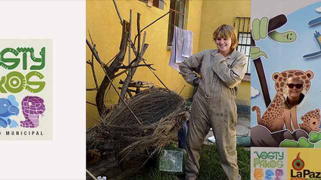 Volunteer your undefined skills in Bolivia to support Animal Welfare