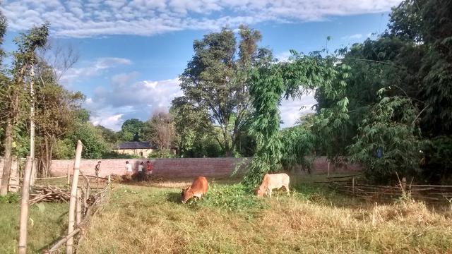 Volunteer your Agriculture skills in India to support Economic Development