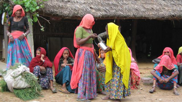 Volunteer your Environmental Protection skills in India to support Economic Development