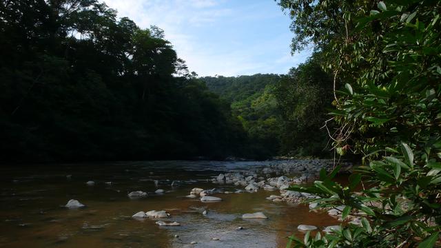 Volunteer your Brand Design skills in Panama to support Economic Development
