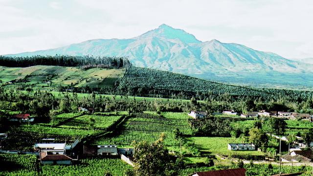 Volunteer your Leadership skills in Ecuador to support Economic Development