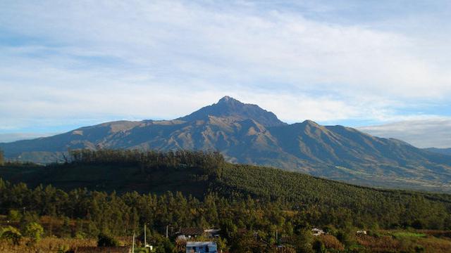 Volunteer your Medical Professionals skills in Ecuador to support Good Health and Well-being