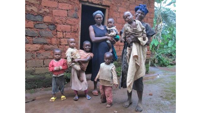 Volunteer your Crowdfunding skills in Cameroon to support Economic Development