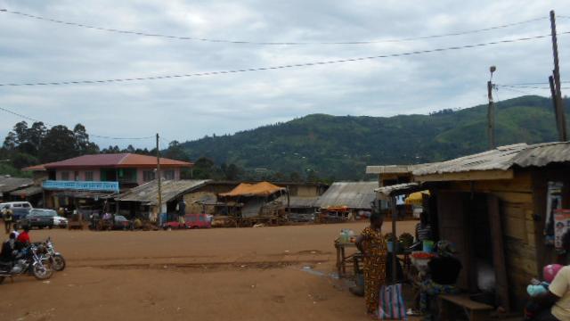 Volunteer your Nonprofit Operations skills in Cameroon to support Economic Development