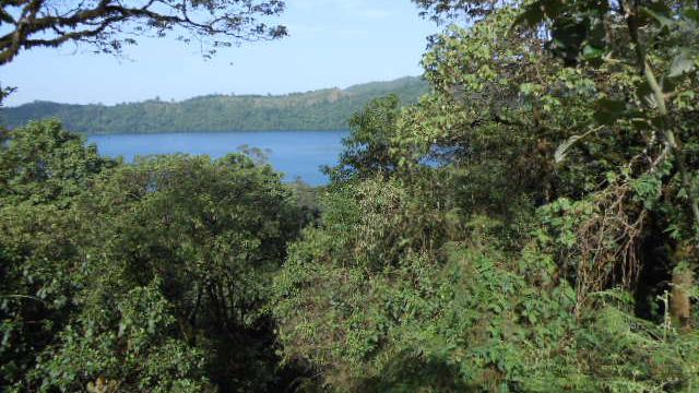 Volunteer your Nursing skills in Cameroon to support Economic Development