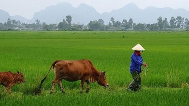Volunteer your Brand Strategy skills in Vietnam to support Quality Education