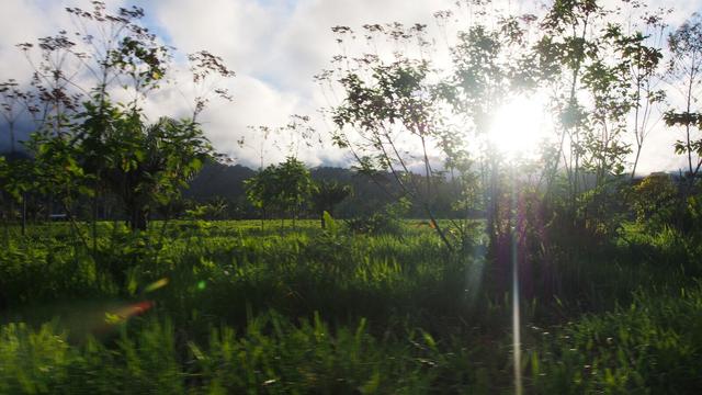 Volunteer your Conservation skills in Bolivia to support Economic Development