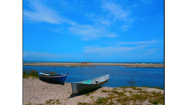Volunteer your Food Management & Gastronomy skills in Honduras to support Economic Development