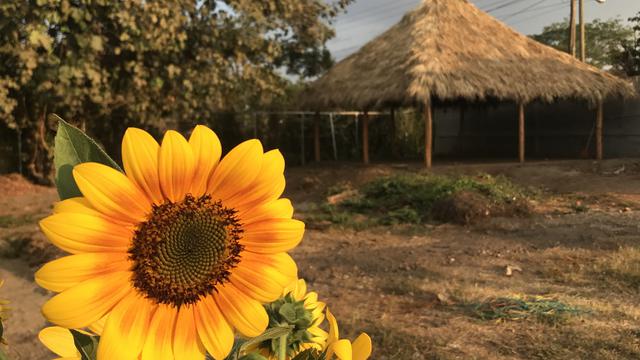 Volunteer your Social Media skills in Nicaragua to support Quality Education