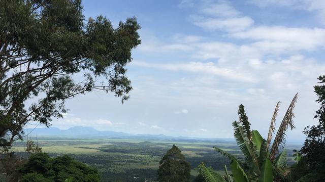 Volunteer your Business Strategy skills in Cameroon to support Economic Development