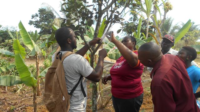 Fundraising & Grantwriting Manager to support a community with a vocational school's project photo