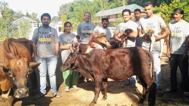 Veterinarian's team photo