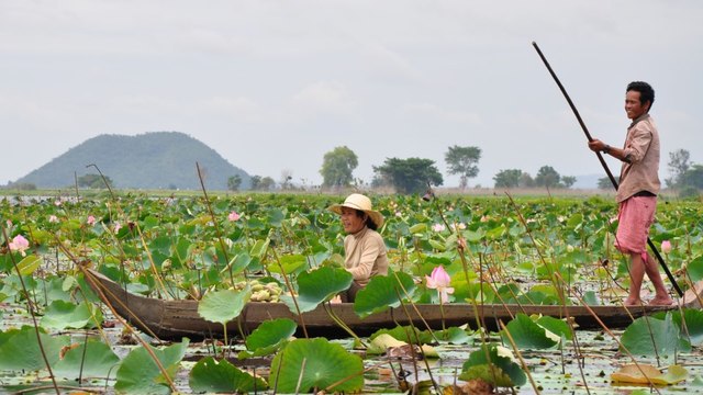 Volunteer your Business Strategy skills in Cambodia to support Decent Work and Economic Growth