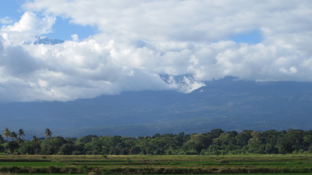 Volunteer your Business Strategy skills in Tanzania to support Decent Work and Economic Growth
