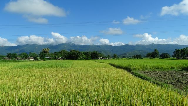 Volunteer your Agriculture skills in Nepal to support Sustainable Cities and Communities