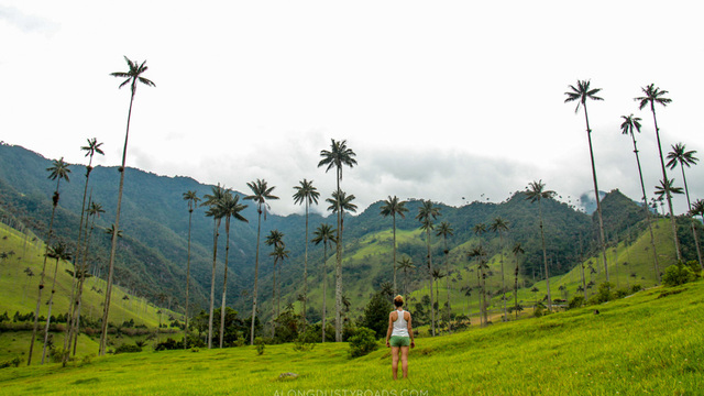 Volunteer your Business Strategy skills in Colombia to support Reduced Inequalities