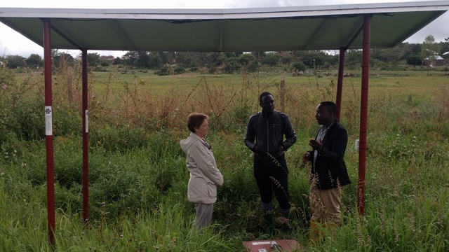 Help Pioneering Tanzanian Solar Company Leverage Data for Good's project photo