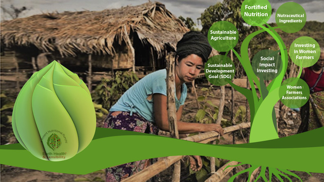 Volunteer your Multimedia skills in India to support Gender Equality,Good Health and Well-being