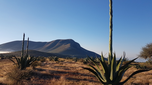 Volunteer your IT skills in Mexico to support Climate Action,Responsible Consumption and Production,Life on Land,Industry, Innovation and Infrastructure,Decent Work and Economic Growth,Affordable and Clean Energy,Zero Hunger,No Poverty