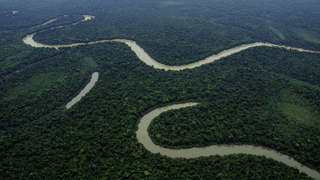 Volunteer your Multimedia skills in Peru to support Life on Land,Climate Action,Sustainable Cities and Communities
