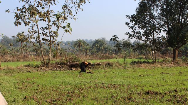 Volunteer your Photography skills in India to support Reduced Inequalities,Decent Work and Economic Growth,Gender Equality,Quality Education