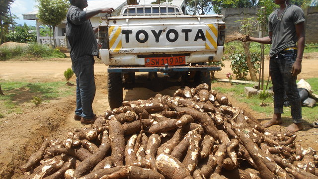 Crowdfunding Expert to Fight Food Insecurity in Cameroon's project photo