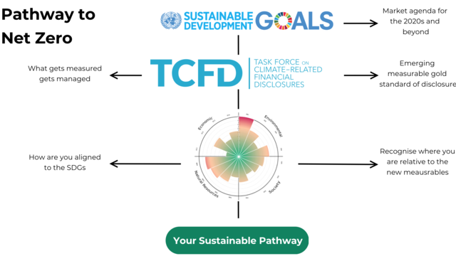 Learn social impact frameworks and use it for: Facilitating a sustainable pathway for organisations