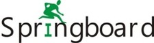 Springboard Nigeria logo