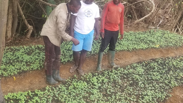 Learn social impact frameworks and use it for: TRAINING FARMERS ON IN CHILLI PEPPER CULTIVATION