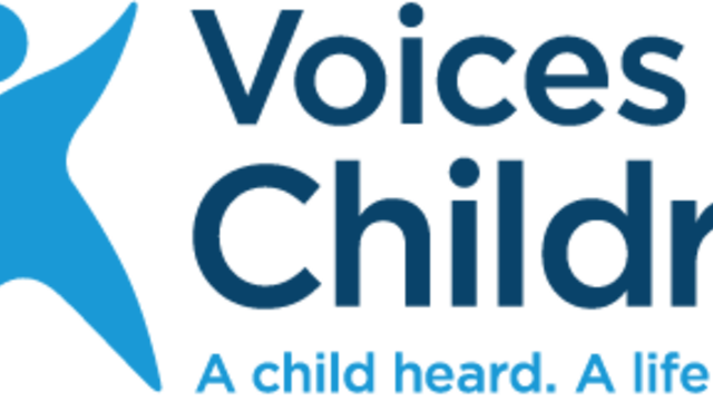 Experteer to Support Cloud-Based Solution for Voices for Children's project photo