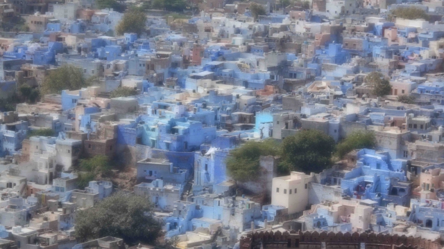 Volunteer your Design (Web or Print) skills in India to support Economic Development
